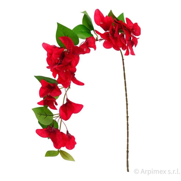 RAMO BOUNGAVILLEA CM.80 ROSSO